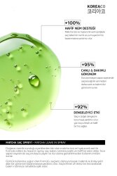 KOREACO Matcha Mucize Leaving In Spray | Nemlendirici Hacim veren Yapılandırıcı Saç Spreyi 150 ml - 2